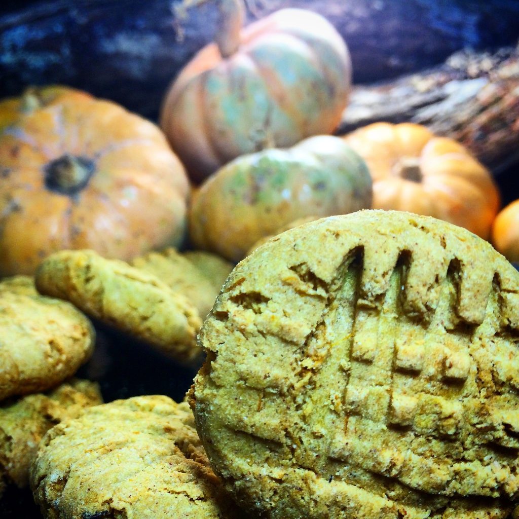 COOKIES DE ABÓBORA SEM GLÚTEN E SEM LACTOSE