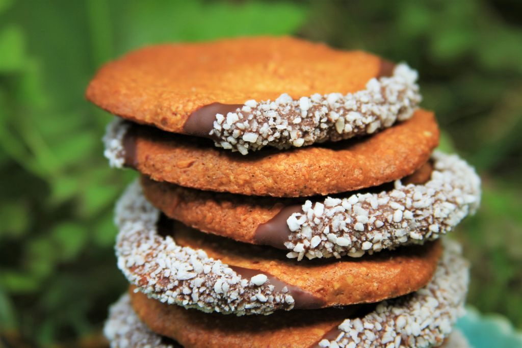BISCOITO DE COCO COM AMENDOIM SEM FARINHA