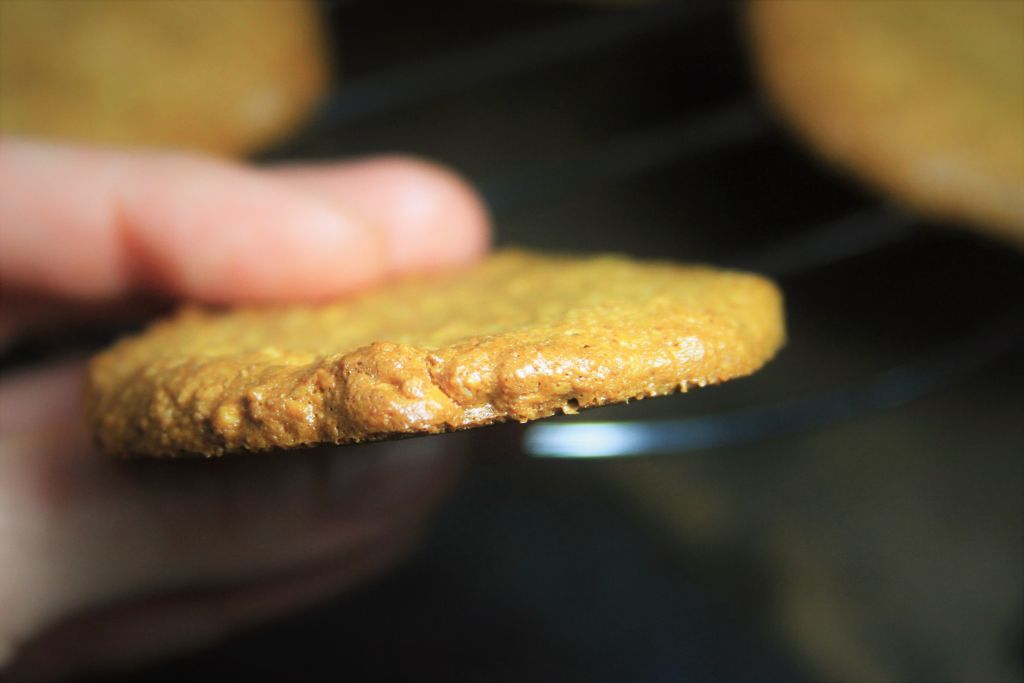 Espessura biscoito de coco com amendoim - amor pela comida