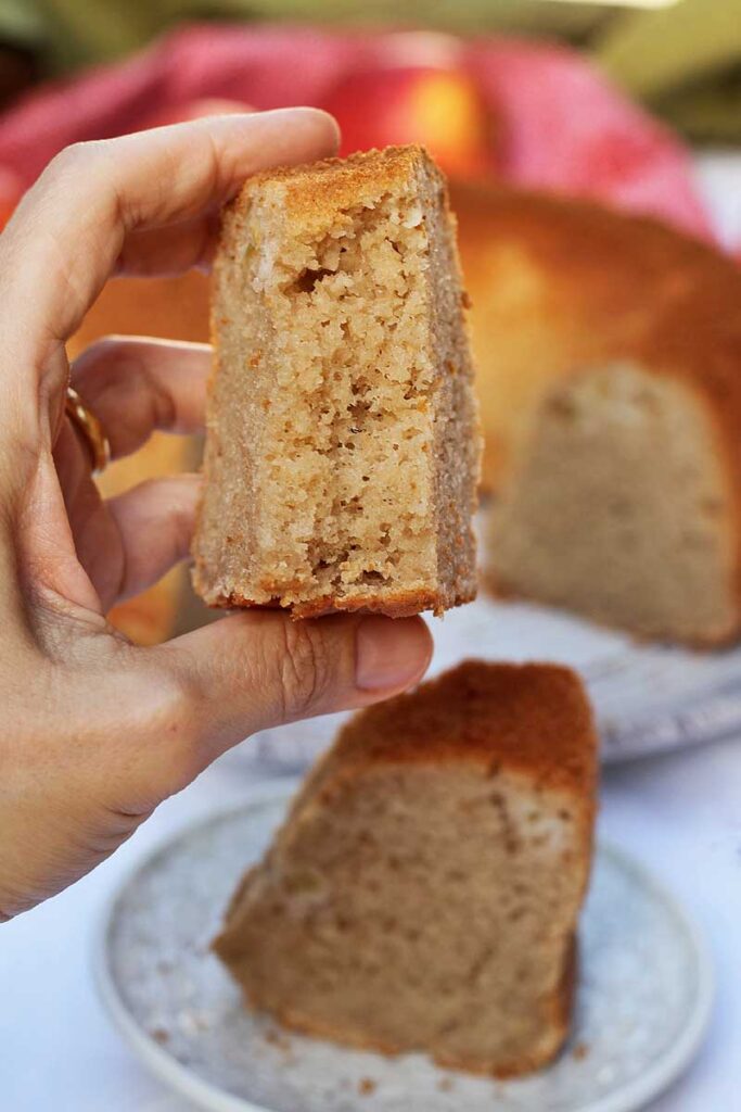 Mão segurando fatia de bolo de maçã que já está mordido, abaixo mais uma fatia em um prato redondo pequeno e o bolo de fundo